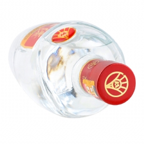 ZҺ45500
