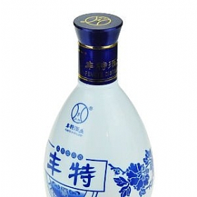 S52488{(ln)ţ