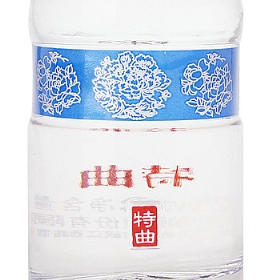 52100Сư棩