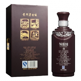 Iu53500u