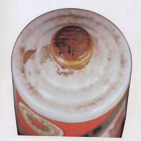 1966NɫĤ״ƿơé_