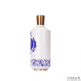 _{53u500ml