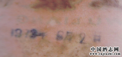 1973ZҺa(chn)ڼ(x)(ji)