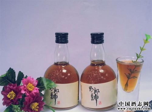 酒類知識:藥酒和保健酒有什么差別?