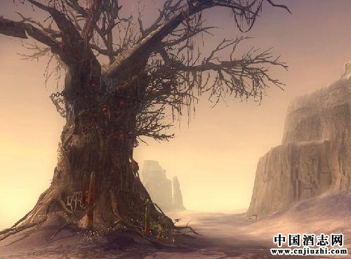 行走和踐行可以沖破方向的迷霧