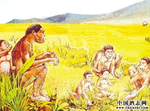 白酒的起源之猿人釀酒