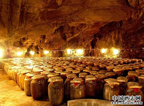 固態發酵和液態發酵的區別是什么呢
