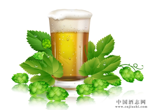 ơƻơ֮gʲô(lin)ϵ
