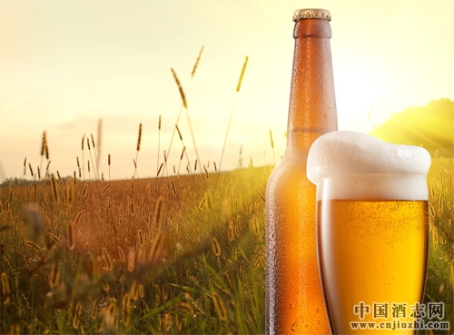 啤酒為什么比較吸引蚊子?
