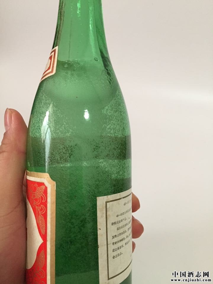 Gƿھ