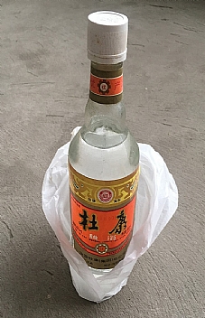 ſ